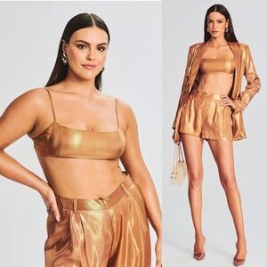 NWT RETROFETE Set Silk Metallic Chiffon High Waist Pleated Short & Bra Top XL